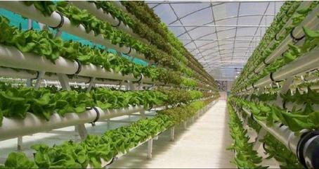 新模式! 歐洲立體種植給我們上了一課