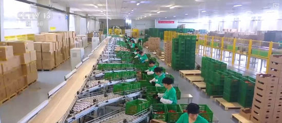 100億、10億、8.7萬億!鄉(xiāng)村特色產(chǎn)業(yè)領(lǐng)域拓寬 發(fā)展韌性強(qiáng)