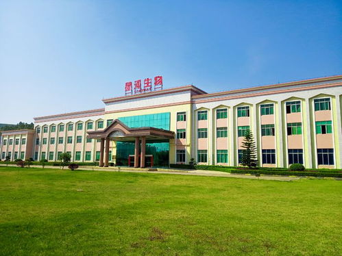 走進(jìn)大灣區(qū) 菜籃子 生產(chǎn)基地 粵北首家工廠化栽培的食用菌企業(yè)