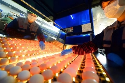 復(fù)工啦!這些畫面從未如此激動(dòng)人心