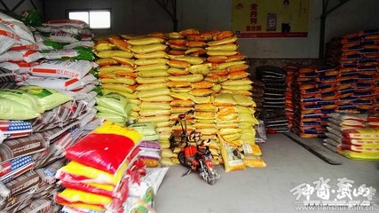 【春耕正當(dāng)時】武山縣供銷社備足&ldquo;糧草&rdquo;保春耕(圖)--天水在線