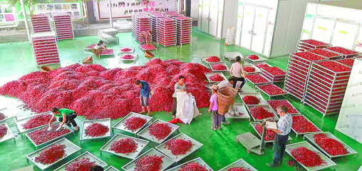 重慶農(nóng)產(chǎn)品加工如何持續(xù)發(fā)力