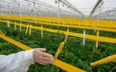 補貼上百萬!數(shù)字農(nóng)業(yè)工廠:智能化、自動化的農(nóng)業(yè)生產(chǎn)新模式