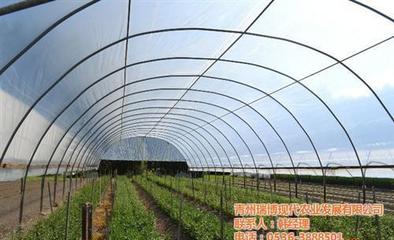 【新昌晟物產(chǎn)(圖) 溫室工程生產(chǎn)廠家】圖片,海量精選高清圖片庫(kù)