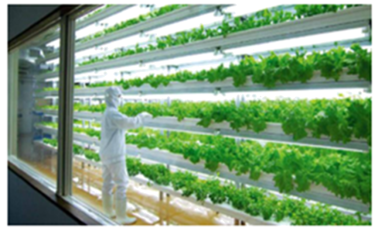 熱點(diǎn)押題卷01 智慧農(nóng)業(yè)