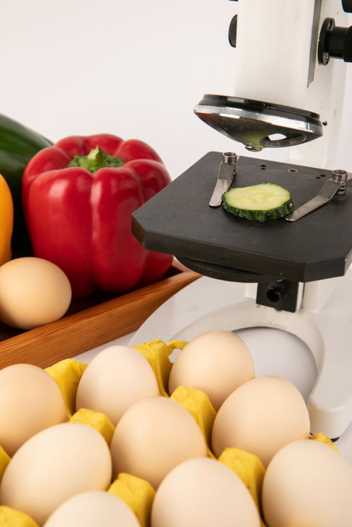 甜椒雞蛋食品安全農(nóng)業(yè)科技食品培育攝影圖 插畫(huà) 下載至來(lái)源處