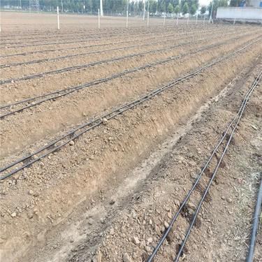 如何用葡萄做葡萄酒