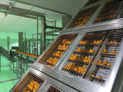 萬(wàn)州柑橘&ldquo;72變&rdquo;身價(jià)漲:全產(chǎn)業(yè)鏈打造,實(shí)現(xiàn)零廢棄全果利用