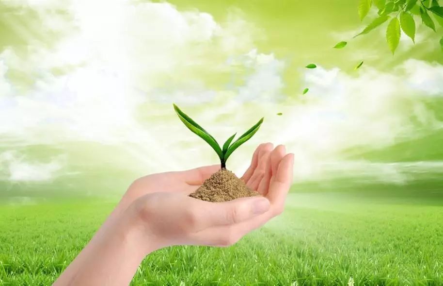 行業(yè)|&ldquo;不正經(jīng)&rdquo;的綠色農(nóng)業(yè)