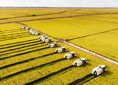 全產業鏈農業是鄉村振興必答題