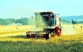 新華網河南 三農新聞