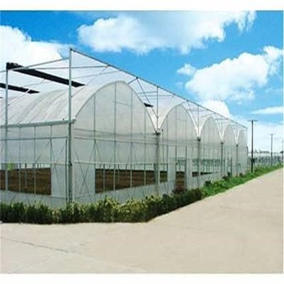 新型櫻桃現代化草莓溫室大棚 工廠專業預算 施工隊隨時可建設