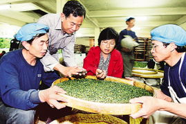 福建力促兩岸農(nóng)業(yè)合作