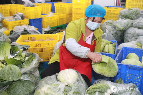 遵義匯川 智慧對接 農(nóng)產(chǎn)品更暢銷