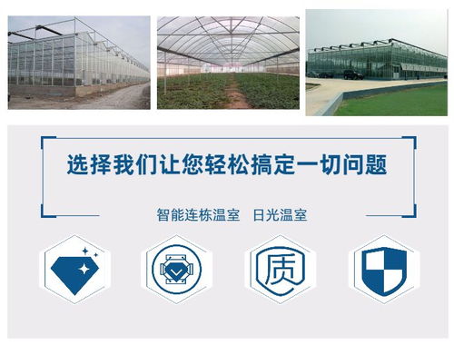 生態(tài)餐廳無土栽培廠家 鑫華生態(tài)農(nóng)業(yè) 在線咨詢 邯鄲生態(tài)餐廳高清圖片 高清大圖