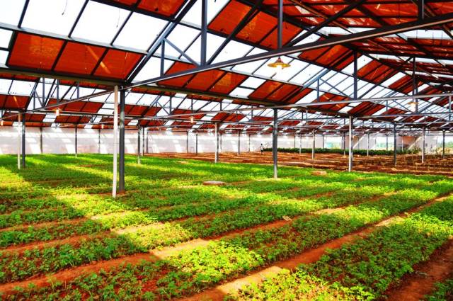 顛覆 | 不只是工廠,工業(yè)4.0時代也將顛覆農(nóng)業(yè)