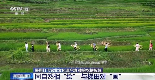 打卡農(nóng)業(yè)文化遺產(chǎn)地 他們把研學(xué)活動選在山水林田間