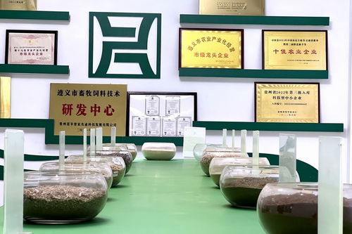 遵義習(xí)水 產(chǎn)業(yè)振興跑出致富加速度——農(nóng)業(yè)篇