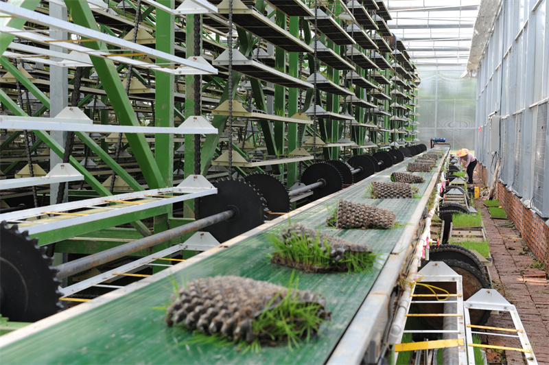 華容縣“田保姆”服務(wù)助推糧食生產(chǎn)高質(zhì)量發(fā)展