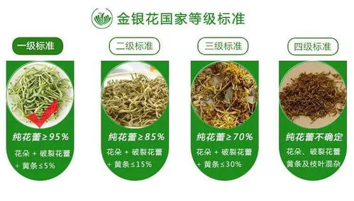 廣西巴馬意生活生態(tài)農(nóng)業(yè)產(chǎn)品正式上市 健康農(nóng)業(yè)新標(biāo)桿，綠色生活新風(fēng)尚