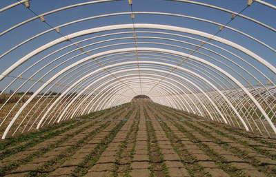 安陽市佳和農(nóng)業(yè) 專業(yè)品質(zhì)，護(hù)航現(xiàn)代農(nóng)業(yè)——大棚配件廠家的卓越實(shí)踐